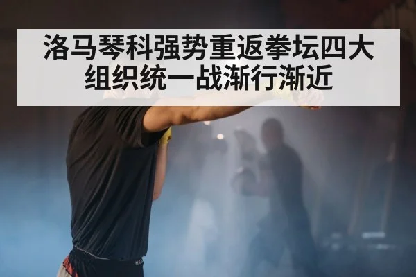 洛马琴科强势重返拳坛四大组织统一战渐行渐近