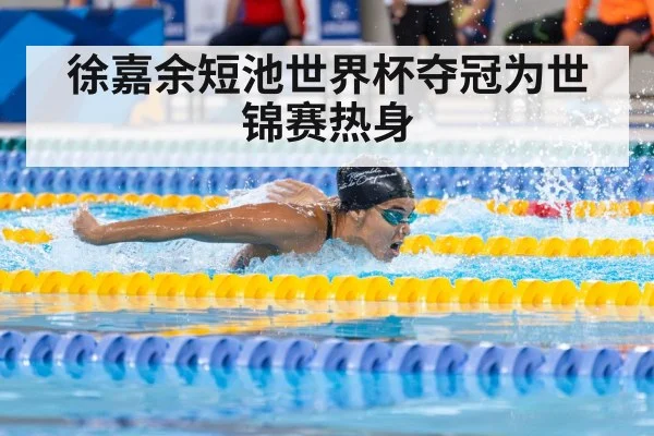 徐嘉余短池世界杯夺冠为世锦赛热身